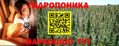 сатива Балахна