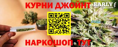 сатива Балахна